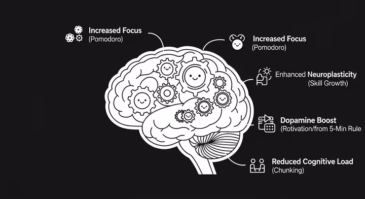 Graphic of a brain with cogs, illustrating benefits of brain-training hacks for drawing.
